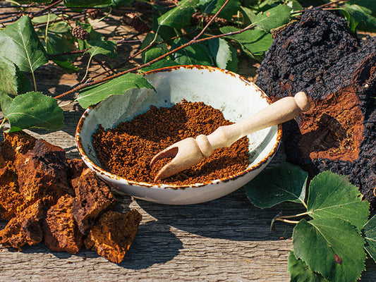Metabolic Health & Blood Sugar: What Chaga and Cordyceps Research Suggests