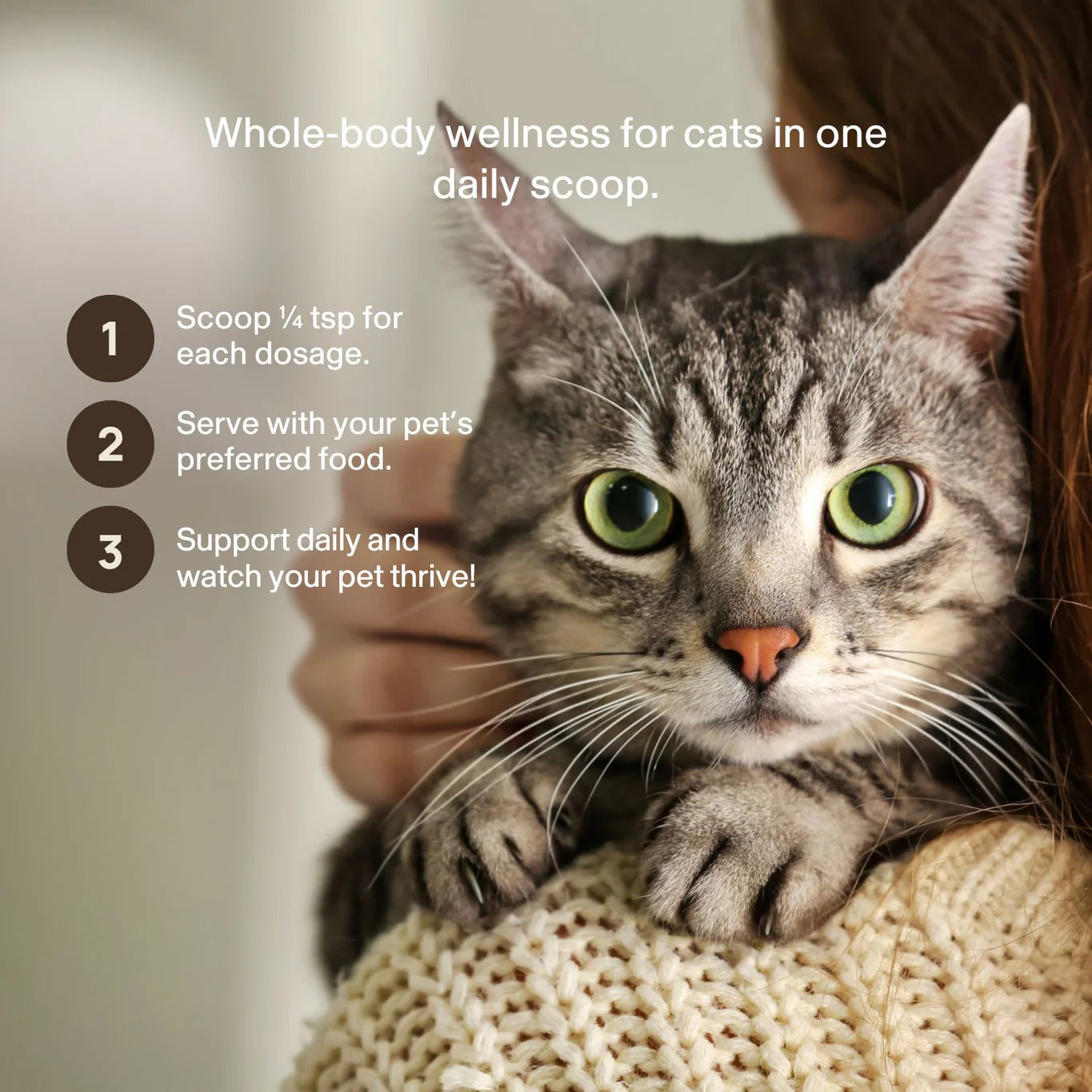 Functional Feline by Real Mushrooms | Daily Mushroom Powder for Cats