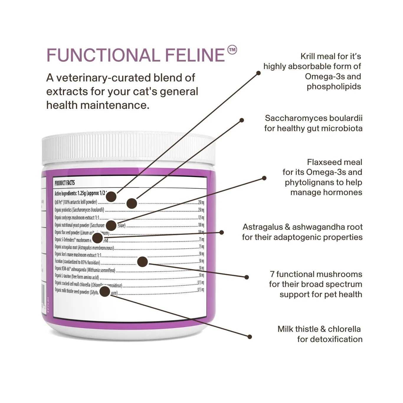 Functional Feline by Real Mushrooms | Daily Mushroom Powder for Cats