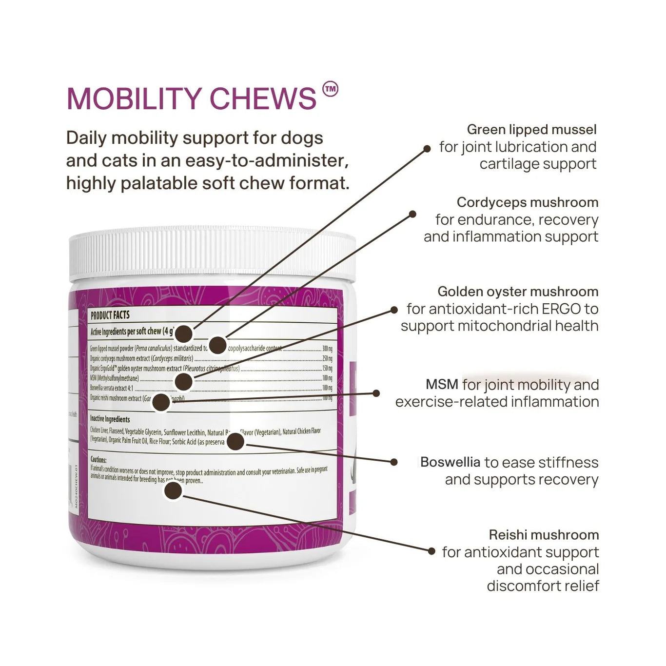 Mushroom Mobility Soft Chews for Pets | House of Mogu