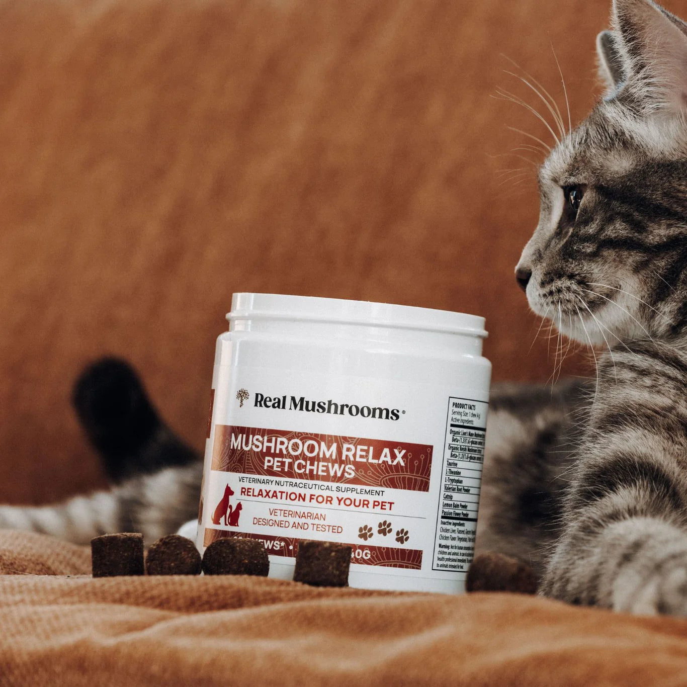 Mushroom Relax Soft Chews for Pets | House of Mogu